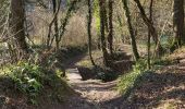 Trail Walking Fumichon - Fumichon - Photo 7