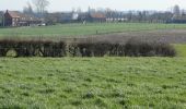 Trail On foot Poperinge - Zevekotepad Reningelst - Photo 9