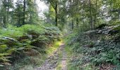 Trail Walking Vivières - en Forêt de Retz_88_autour du Regard Saint-Hubert et du Rond de la Reine - Photo 16