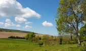 Tocht Stappen Bures-en-Bray - rando départ Bure en Bray - Photo 8