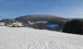 Tour Zu Fuß Gersfeld - Rhön-Rundweg 4 Gersfeld - Photo 5