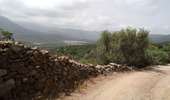 Trail Walking Monticello - boucle d'arbo - Photo 3