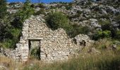 Tocht Stappen Bargème - Bargème - Rive de l'Artuby - Pont Madame - La Bastide - Photo 5