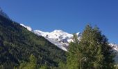 Tour Wandern Chamonix-Mont-Blanc - Cascade du Dard Glacier du Bosson - Photo 5