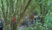 Trail  Yerres - BM boucle 2 rivières - Photo 11