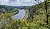 Excursión Senderismo Namur - aiguilles et forêt domaniale de Marche les Dames - Photo 8