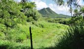 Tour Wandern Sainte-Anne - Cap Chevalier vers la pointe-Marin - Photo 1