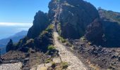 Tour Wandern Curral das Freiras - Pico do Areeiro - Photo 17