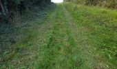 Trail Walking Unknown - Lavardin - Chemin de la roue des Carriers - Photo 13