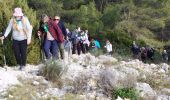 Trail Walking Le Revest-les-Eaux - le revest -Ollioules - Photo 6