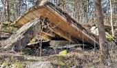 Tour Zu Fuß Geesthacht - Düneberger Sandberge, Rundweg 5 km - Photo 8