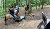 Trail Horseback riding Ban-sur-Meurthe-Clefcy - Reconnaissance chez Delphine fraize  - Photo 4