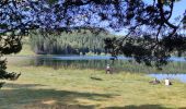 Trail Mountain bike Aydat - Les 2 lacs  - Photo 1