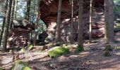 Tour Wandern Turquestein-Blancrupt - Saint Quirin le Kiboki - Photo 4