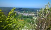 Trail Walking Dabo - Dabo - Col de la Schleif - Roskopf - Photo 6