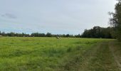 Tocht  Pétange - Fond de Gras depuis Lamadeleine  - Photo 2