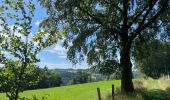 Tour Wandern Monschau - Autour et dans Monschau - Photo 6