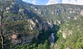 Randonnée Marche Gorges du Tarn Causses - Au long du Tarn: de St Enimie aux Vignes - Photo 4
