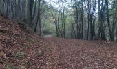 Trail Walking Newel - RÖMERPFAD - Photo 4