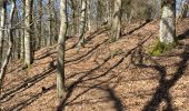 Tocht Stappen Bouillon - Bouillon 1 - Photo 18