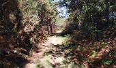 Trail Walking Canéjan - lestonnat - Photo 5