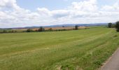 Trail Horseback riding Pont-de-Poitte - poitre binans 14/o7/19 - Photo 10