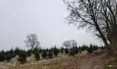 Tour Wandern Malmedy - Bévercé- vallée de la Warchenne - Chôdes  - Photo 2