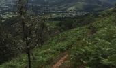 Trail Walking Saint-Martin-d'Arrossa - Le Larla en boucle depuis  Saint Martin d' Arrossa - Photo 4