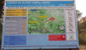Randonnée Marche Bagnols-en-Forêt - Blavet - Photo 10