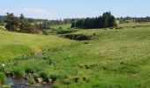 Excursión Senderismo Landeyrat - Cantal - Landeyrat - La Roche - 12km 180m 3h35 - 2019 06 28 - Photo 7