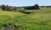 Randonnée Marche Landeyrat - Cantal - Landeyrat - La Roche - 12km 180m 3h35 - 2019 06 28 - Photo 7