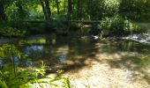 Tour Wandern Plédran - En suivant l'URNE et en passant par le BOIS. - Photo 3