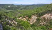 Tour Wandern Montjoyer - Montjoyer les éoliennes 7,5km - Photo 3