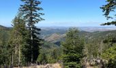 Trail Walking Val-d'Aigoual - PLO de VALBELLE  - Photo 5