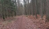 Trail Walking Liège - île Rousseau . CHU . ferme Famelette . pont de Tilff . château Colonster . île Rousseau  - Photo 9