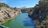 Excursión Senderismo Le Tholonet - bagage de zola - Photo 9