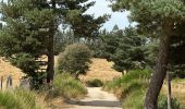 Tour  Peyre en Aubrac - Jour cinq Compostelle, Le Puy - Photo 4