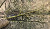 Excursión Senderismo Auderghem - Oudergem - De Hermann-Debroux à la petite Espinette - Photo 2