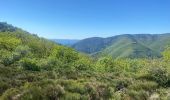 Tocht Stappen Gravières - Serre de Barre - Photo 6