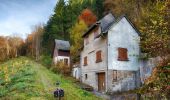 Percorso A piedi Bourscheid - Autopedestre Schlindermanderscheid - Photo 4
