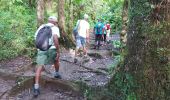 Trail Walking Saint-Joseph - Boucle Coeur Bouliki - Forêt Rabuchon - Photo 14