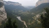 Trail Walking Saint-Julien-en-Vercors - le pont du diable - Photo 5