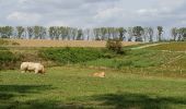 Randonnée Marche Waterloo - Bois bruyère 0820 - Photo 2