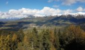 Randonnée Marche Auzet - Col du Fanget - Photo 2