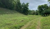 Trail Nordic walking Sainte-Anne - Saint Anne  - Photo 3