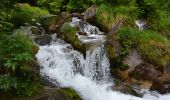 Tour Wandern Cauterets - Cauterets à Cascade du Gave de Cambasque par GR10 - Photo 7