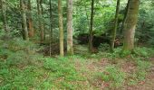 Percorso Marcia Plancher-les-Mines - Cascades de la Goutte des Saules - Belvédère - Grotte St Antoine - Photo 2