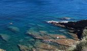 Excursión Senderismo Banyuls-sur-Mer - Banyuls port a Collioure - Photo 3