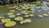 Tour Wandern Unknown - Jardin des lotus Gungnamji Pond - Photo 15
