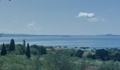 Tocht Stappen Acquapendente - CR_Francigena_DK_47_Acquapendente_Bolsena_20230530 - Photo 13